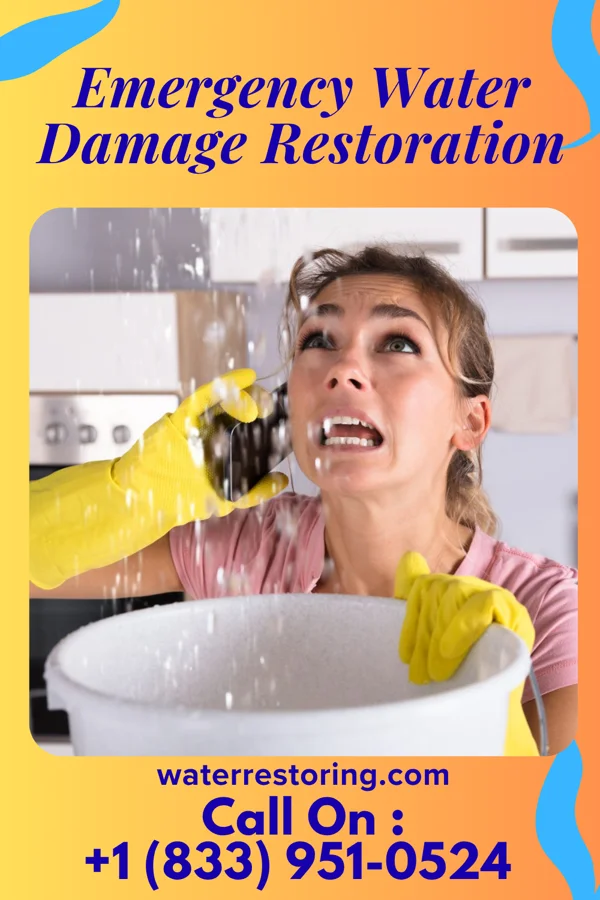 Emergency Water Damage Restoration in Rough Rock, AZ
